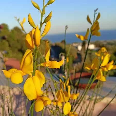La Petite Maison Διαμέρισμα *