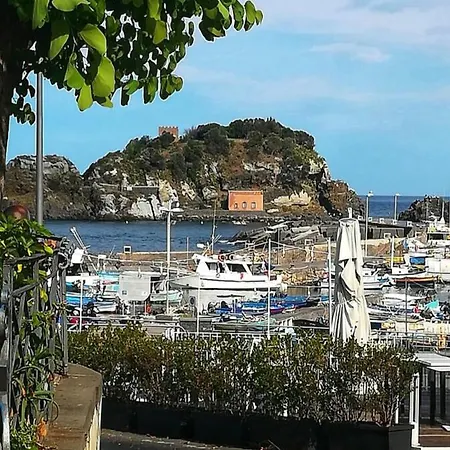 La Petite Maison *